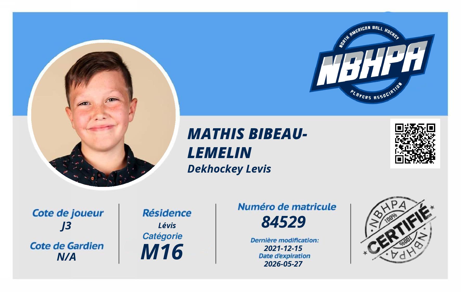 Mathis Bibeau-Lemelin