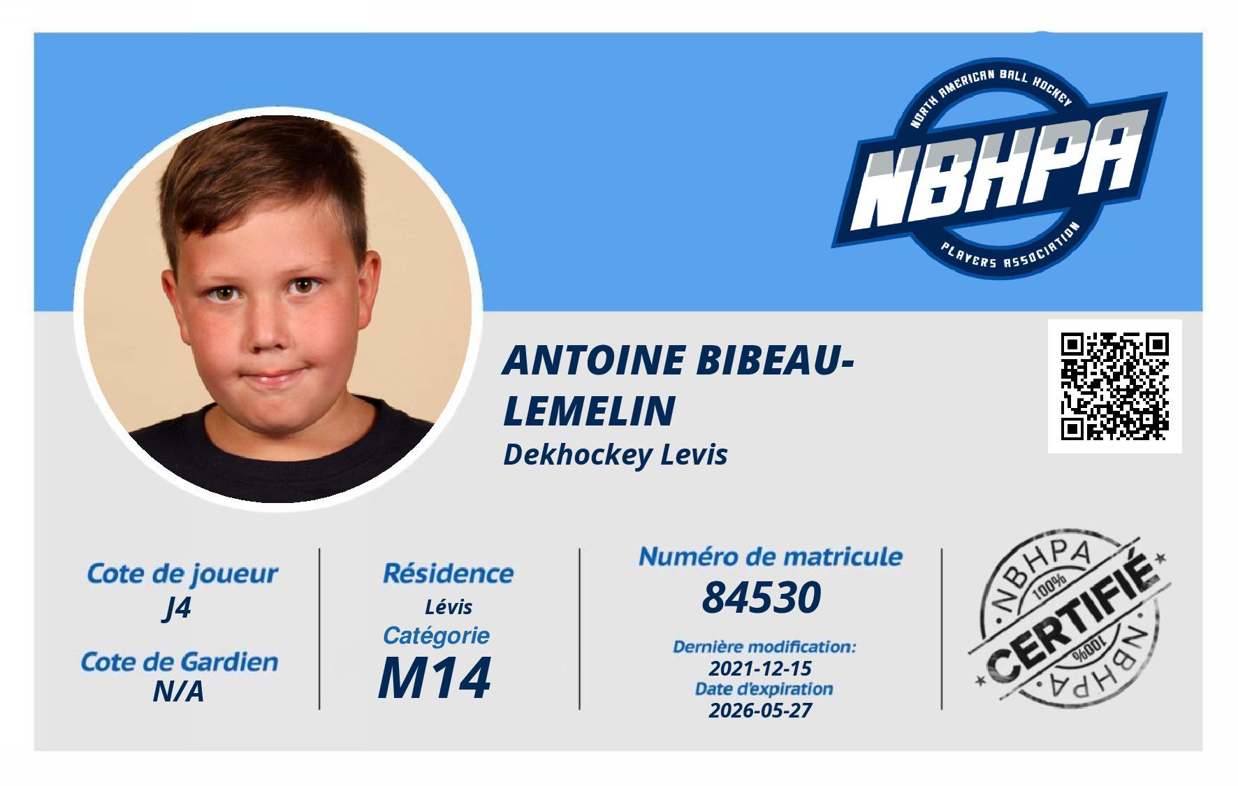 Antoine Bibeau-Lemelin