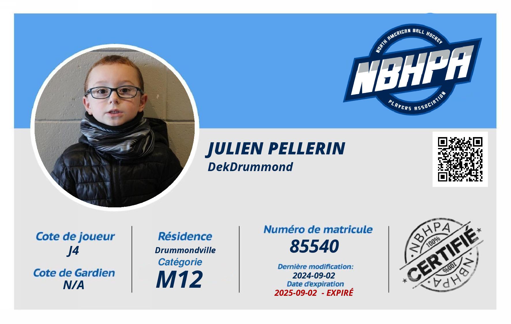 Julien Pellerin