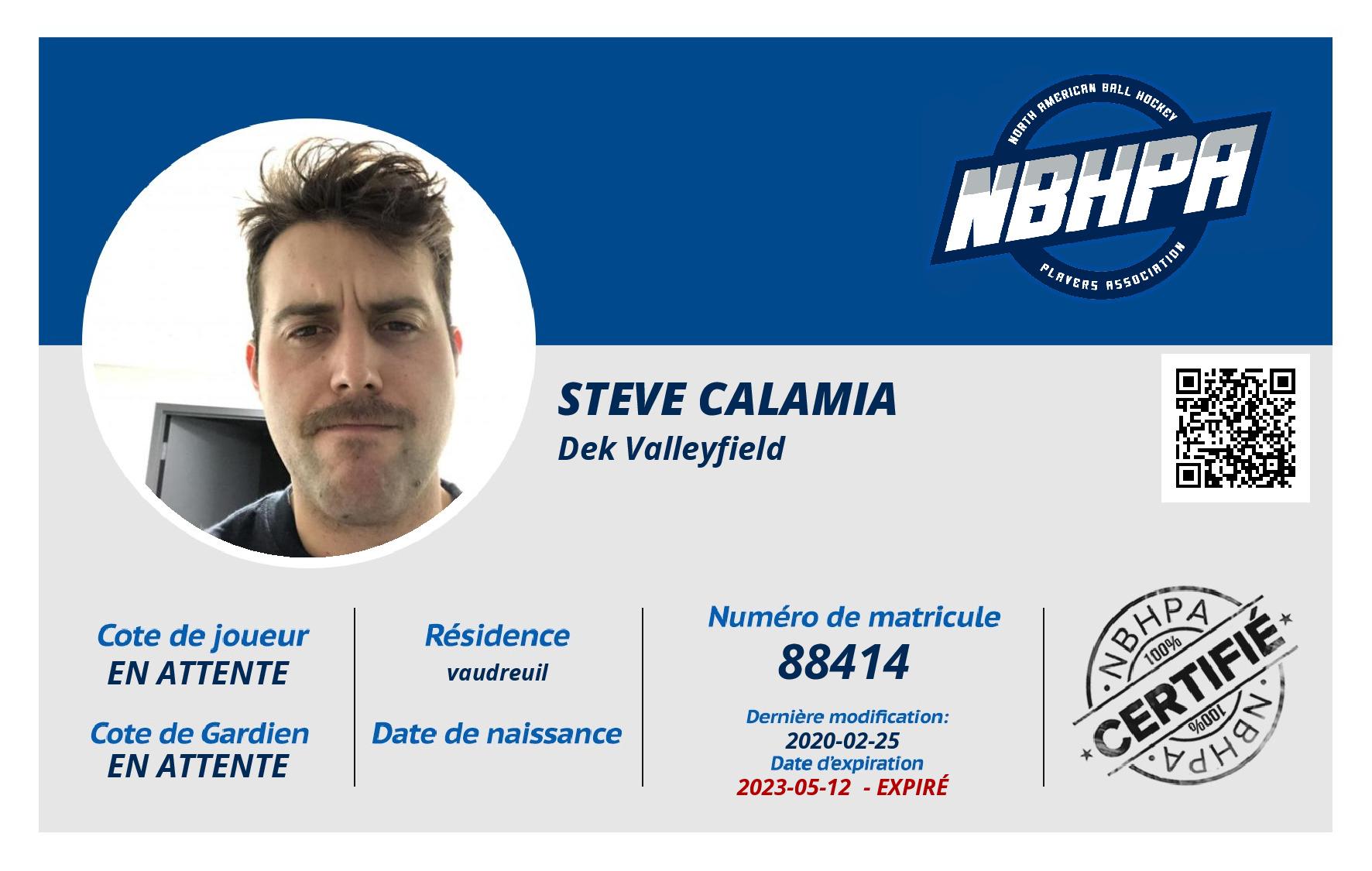steve calamia