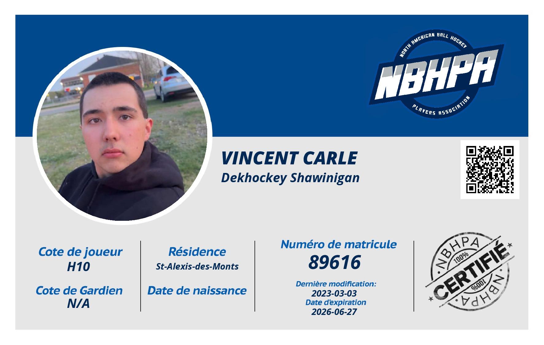 Vincent Carle