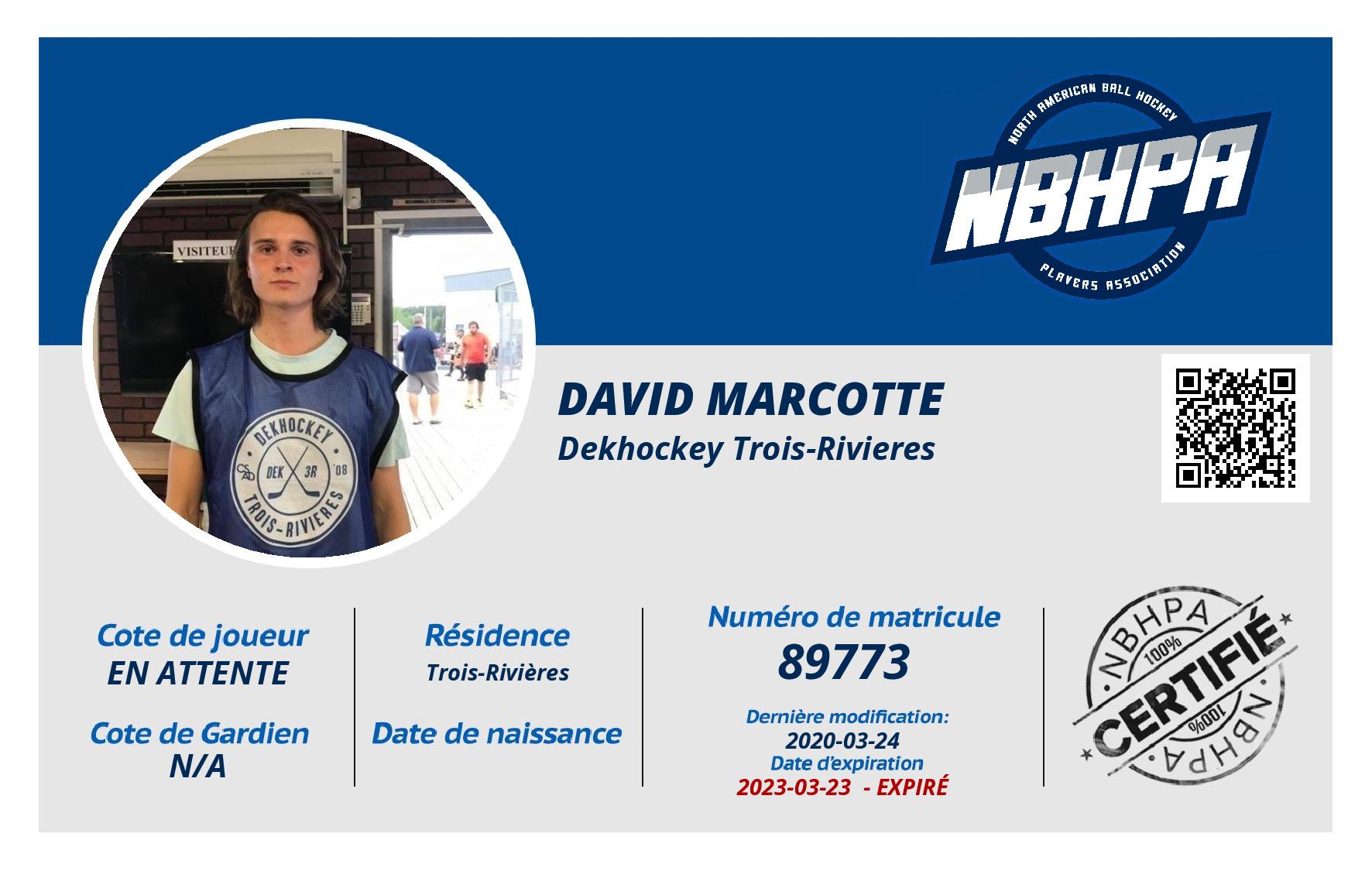 David Marcotte