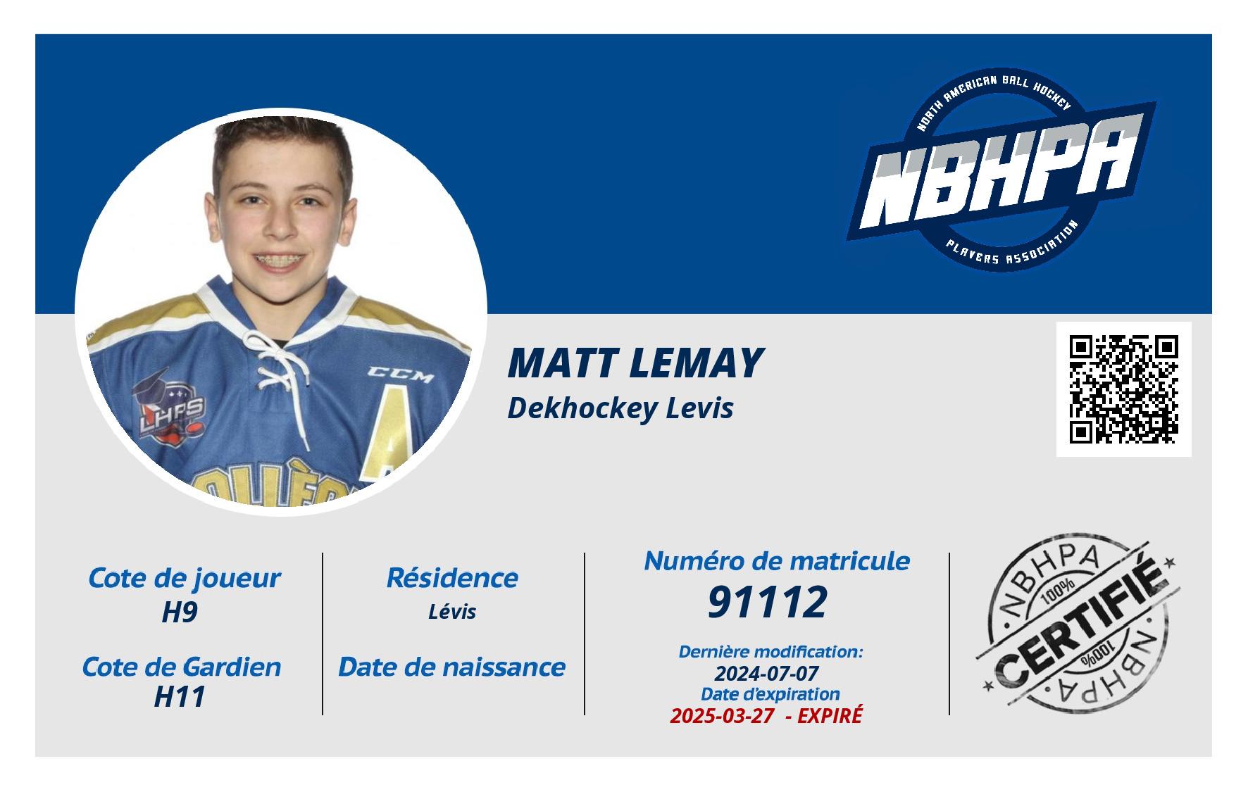 Matt Lemay