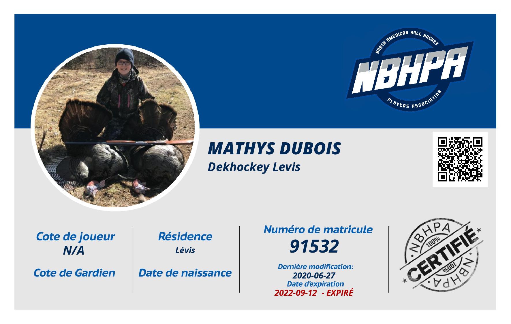 Mathys Dubois