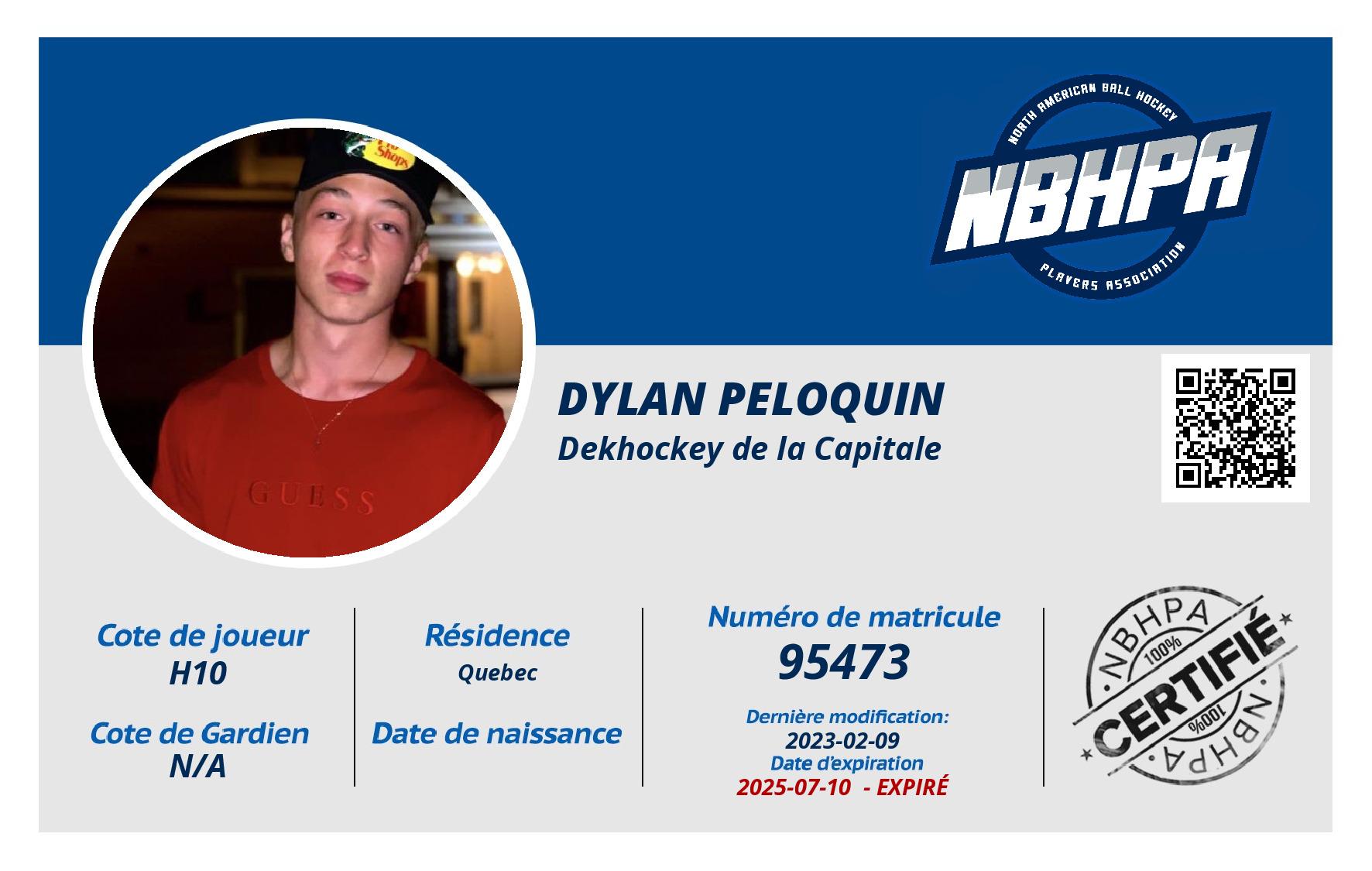 Dylan Peloquin