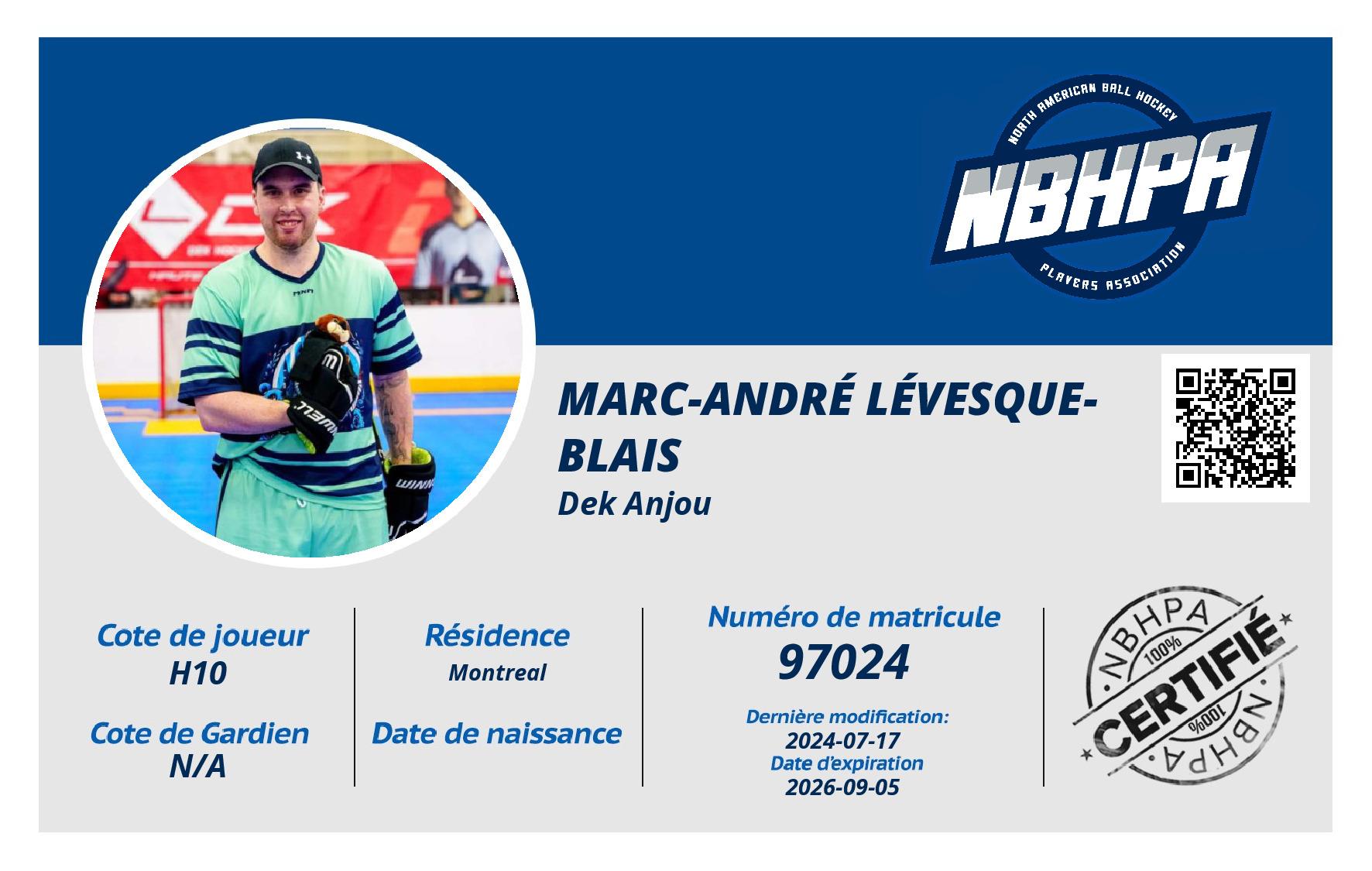 Marc-André Lévesque-Blais