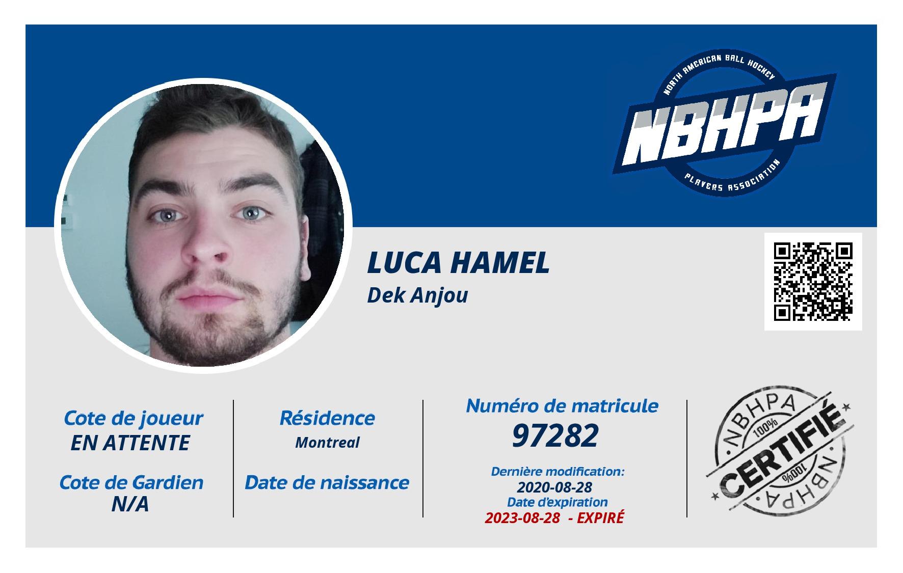 Luca Hamel