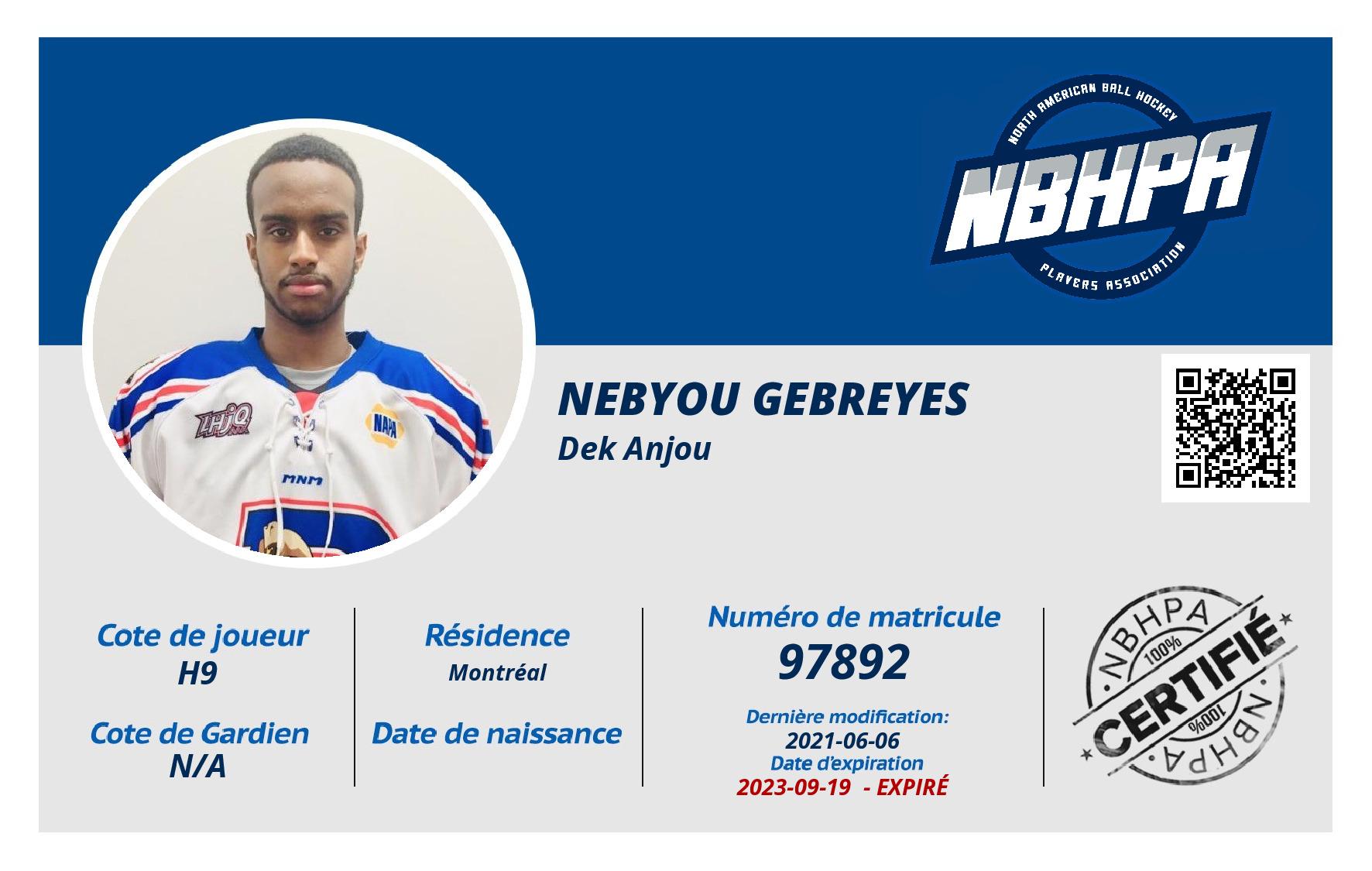 Nebyou Gebreyes