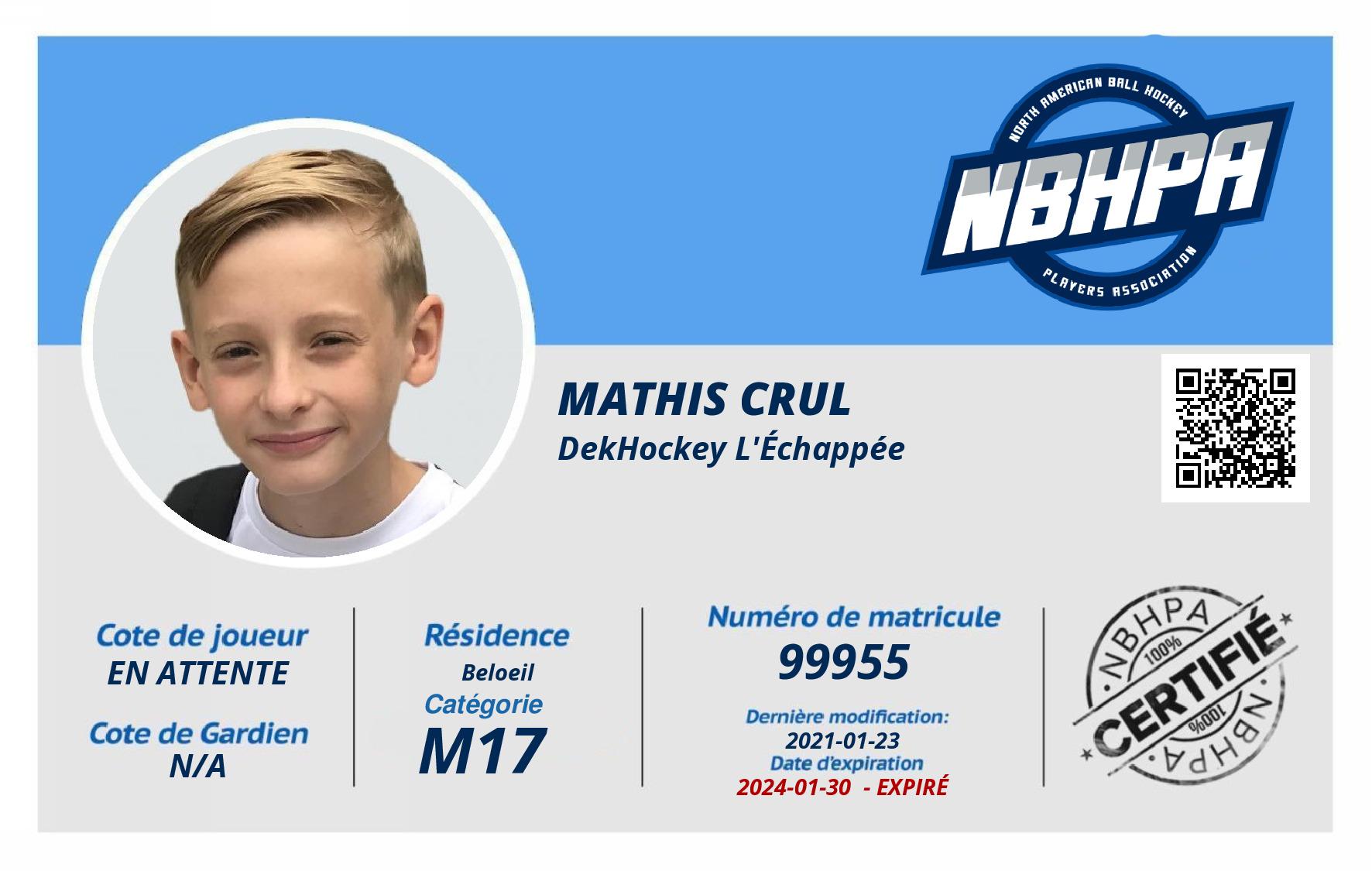 Mathis Crul
