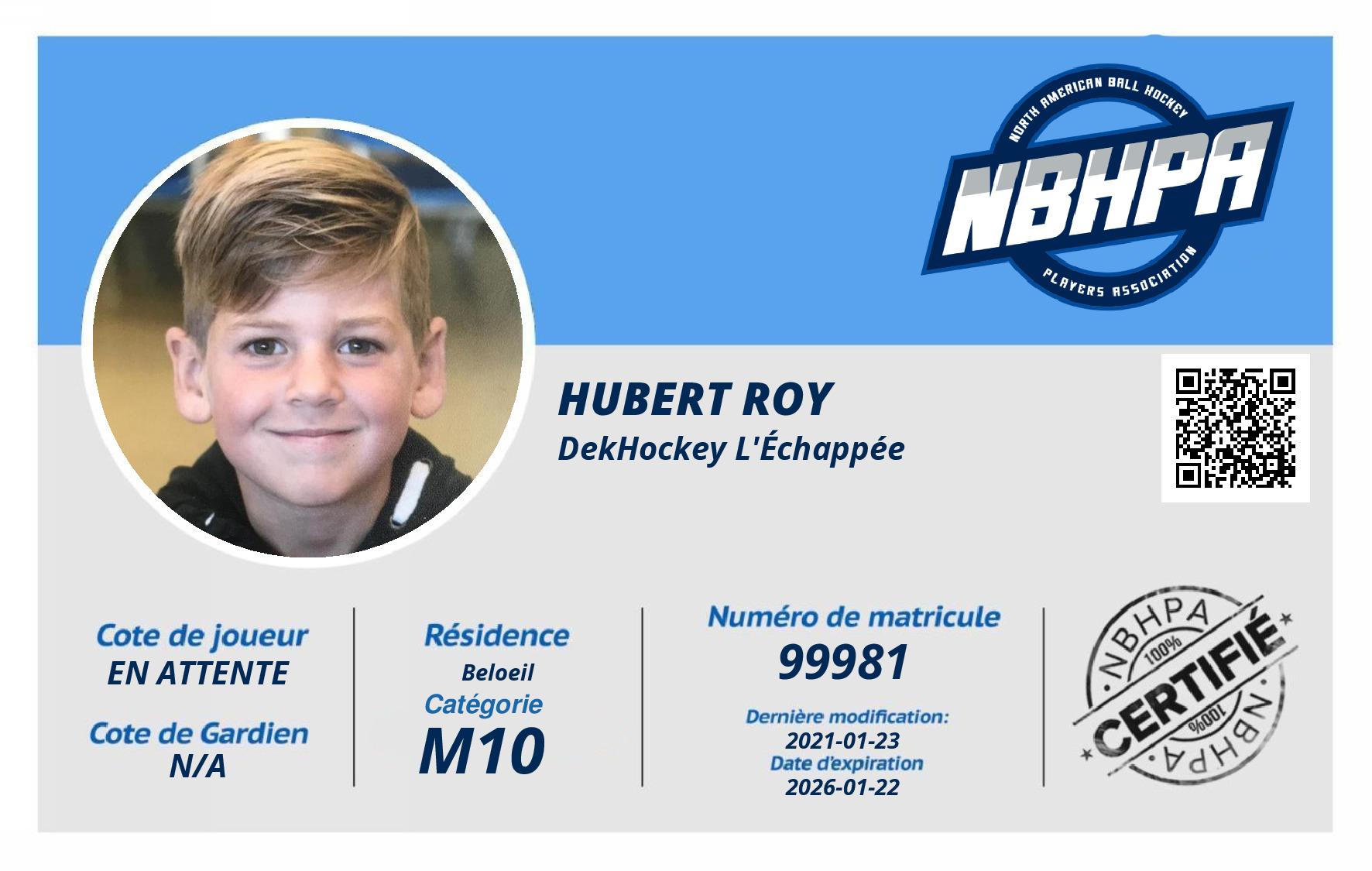 Hubert Roy