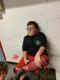 Elliot Guay Audet