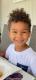 Kamron Laveau