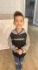 Liam  Domingue