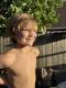 Zackary  Fournier 