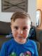 Josh Audet